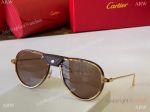 Santos Cartier Aviator Sunglasses 0242 Fading lens